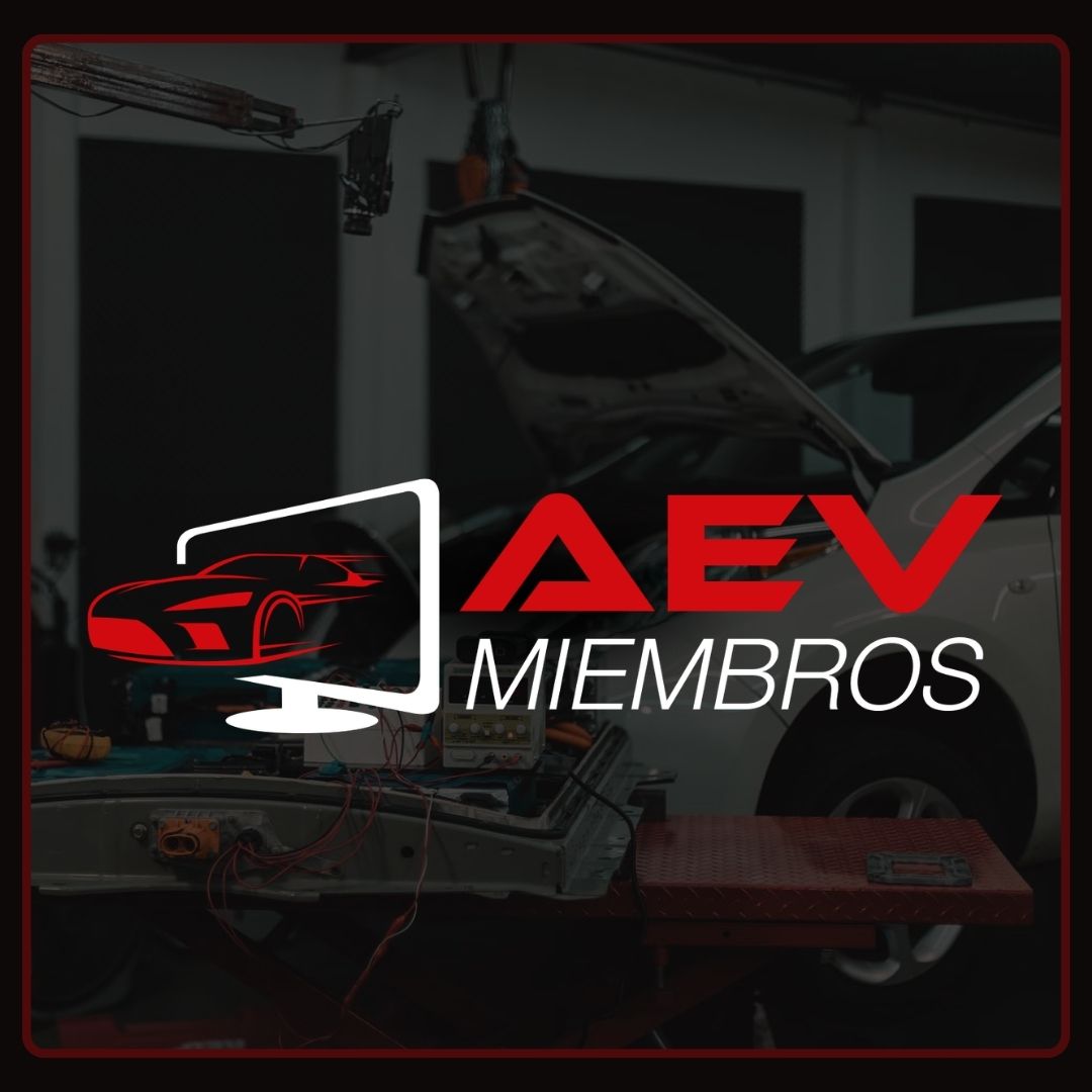 Miembros AEV